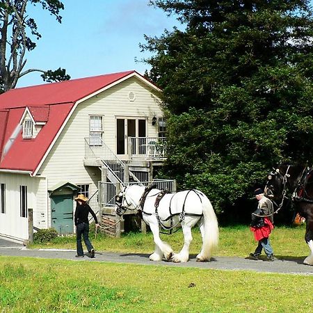 The Carriage House-Bay Of Islands Villa Kerikeri Kültér fotó